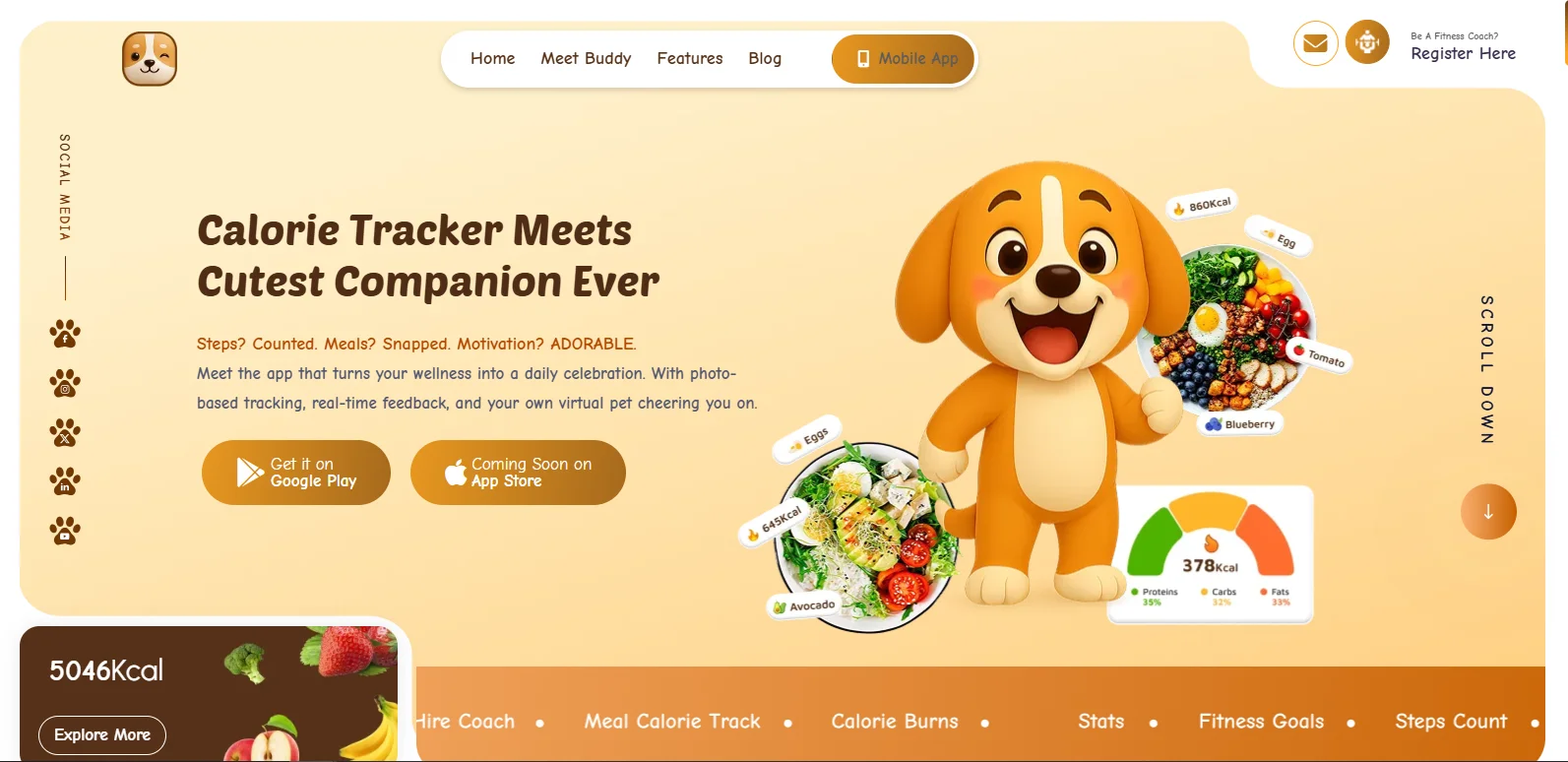 calorie-tracker-buddy