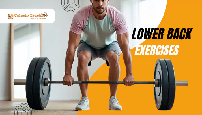 lower-back-exercises