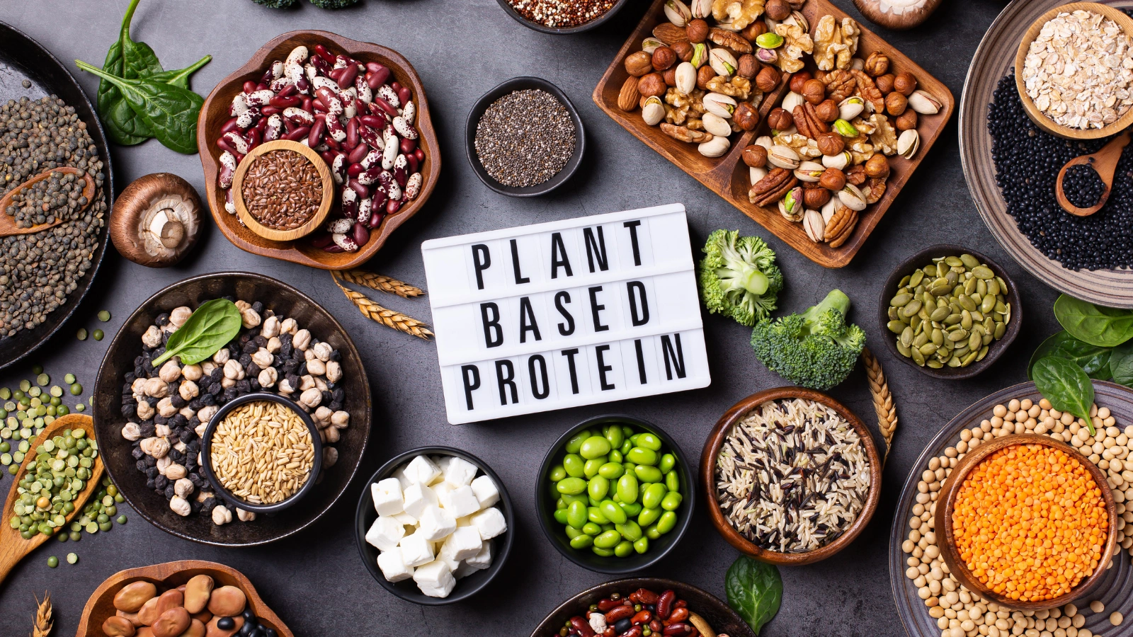 Balance-Protein-Intake-protein-rich-food
