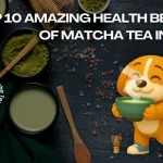 matcha-tea-benefits