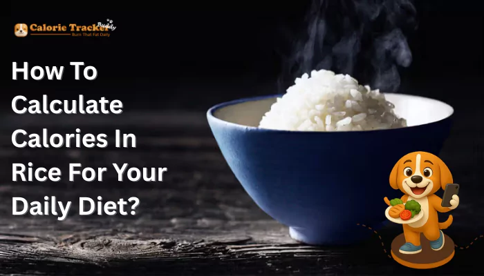how-to-calculate-calories-in-rice-for-your-daily-diet