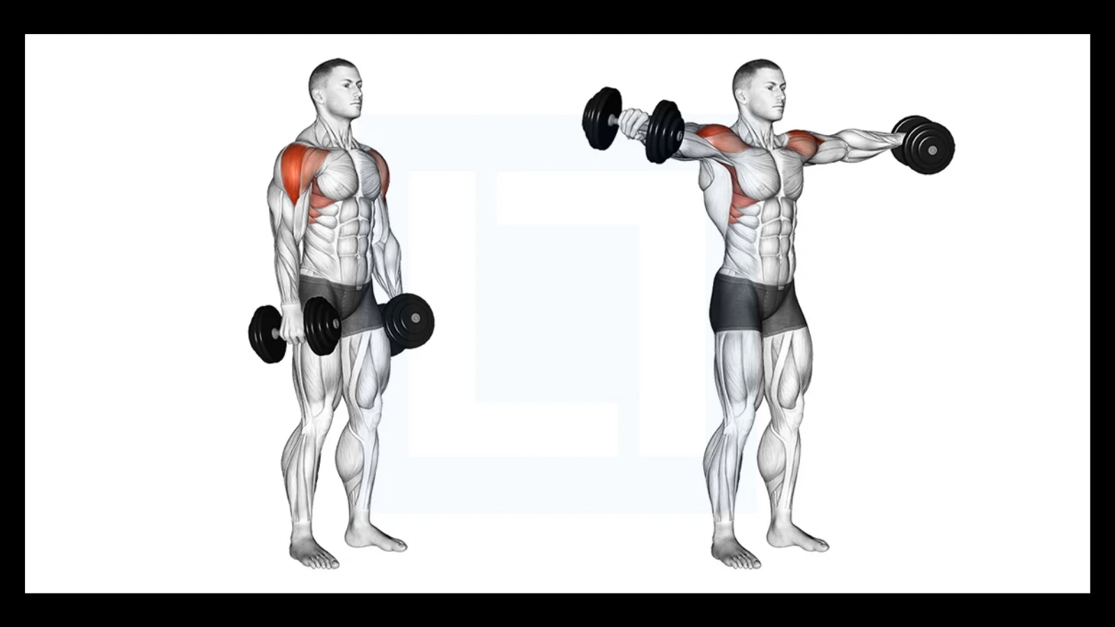 Dumbbell-Lateral-Raises