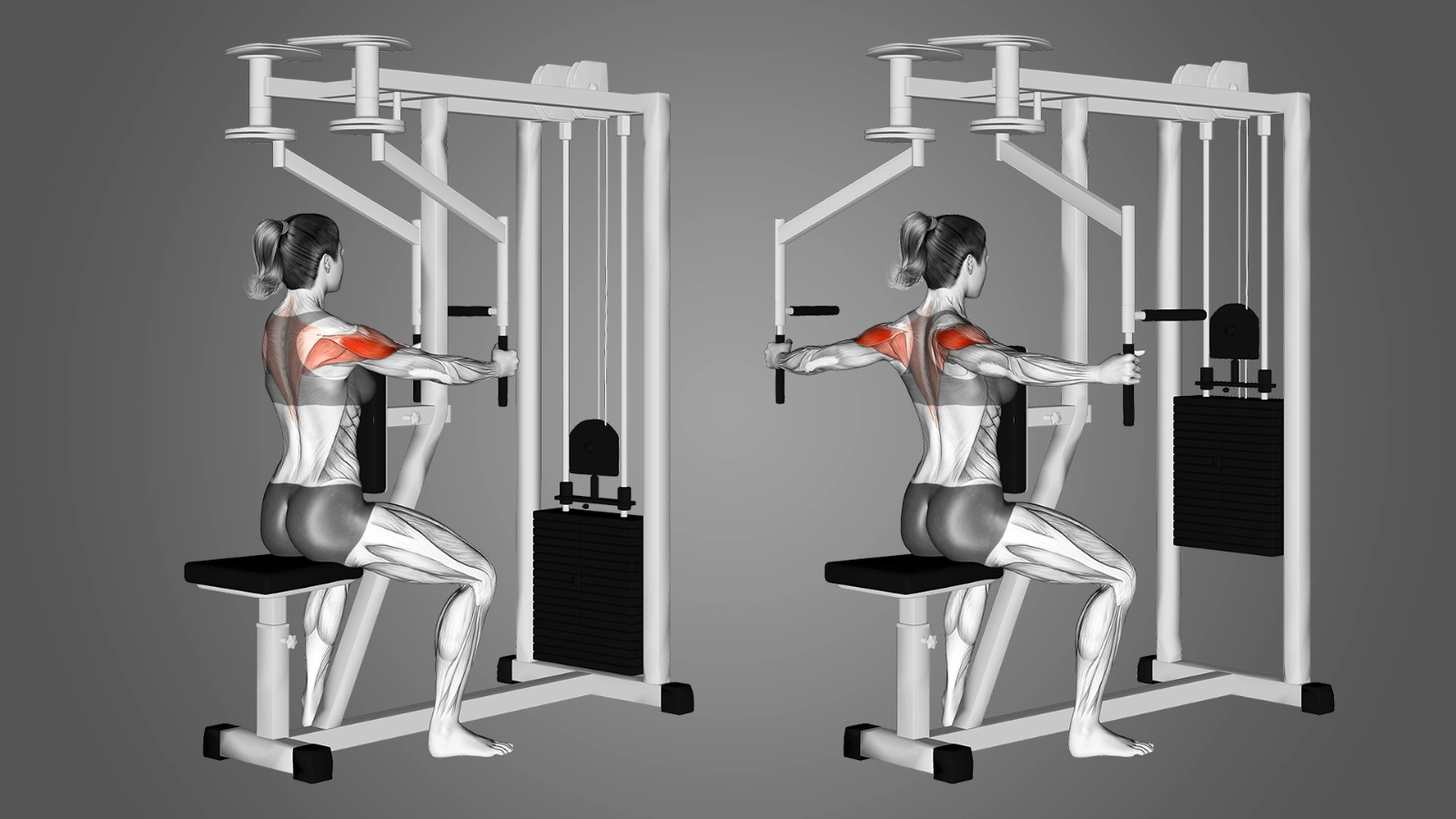 Rear-Delt-Fly