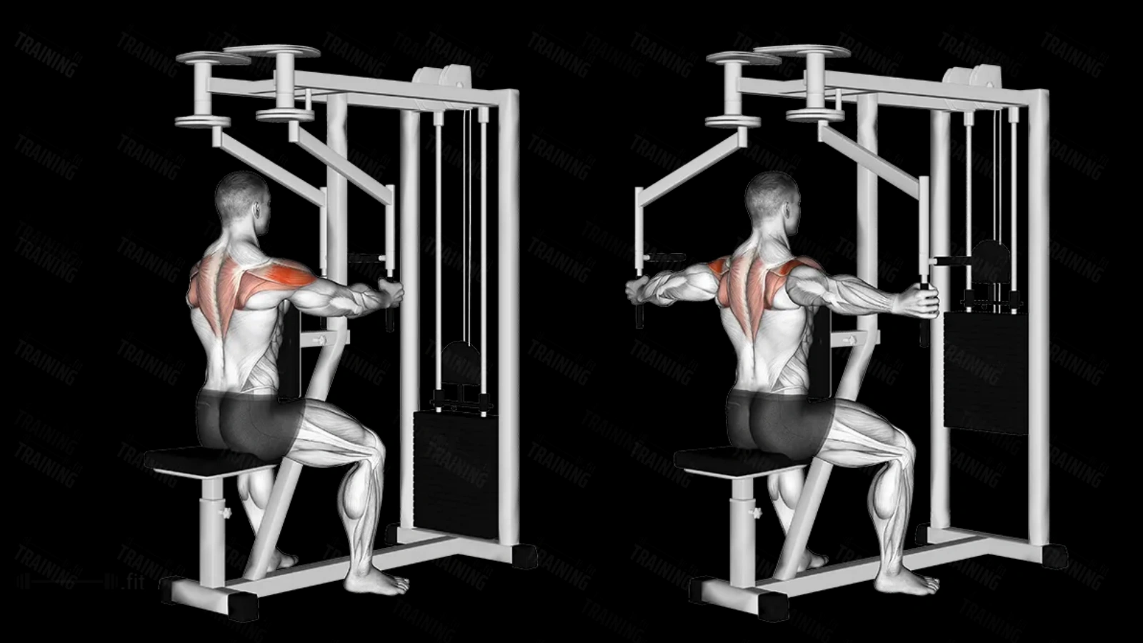 Reverse-Fly-Machine