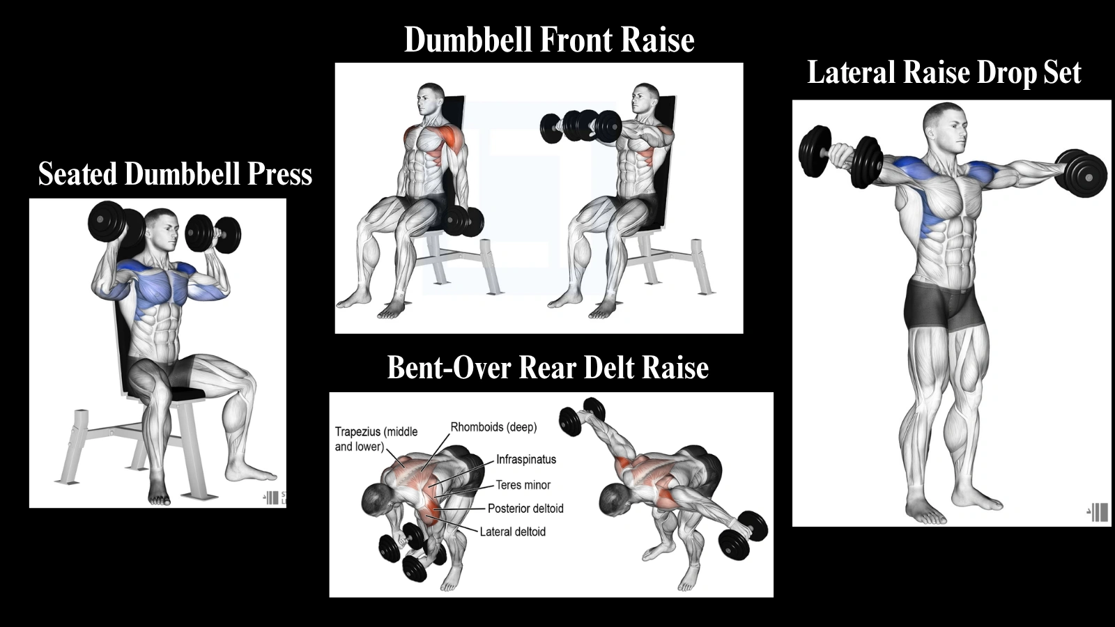 Shoulder-Workout-with-Dumbbells