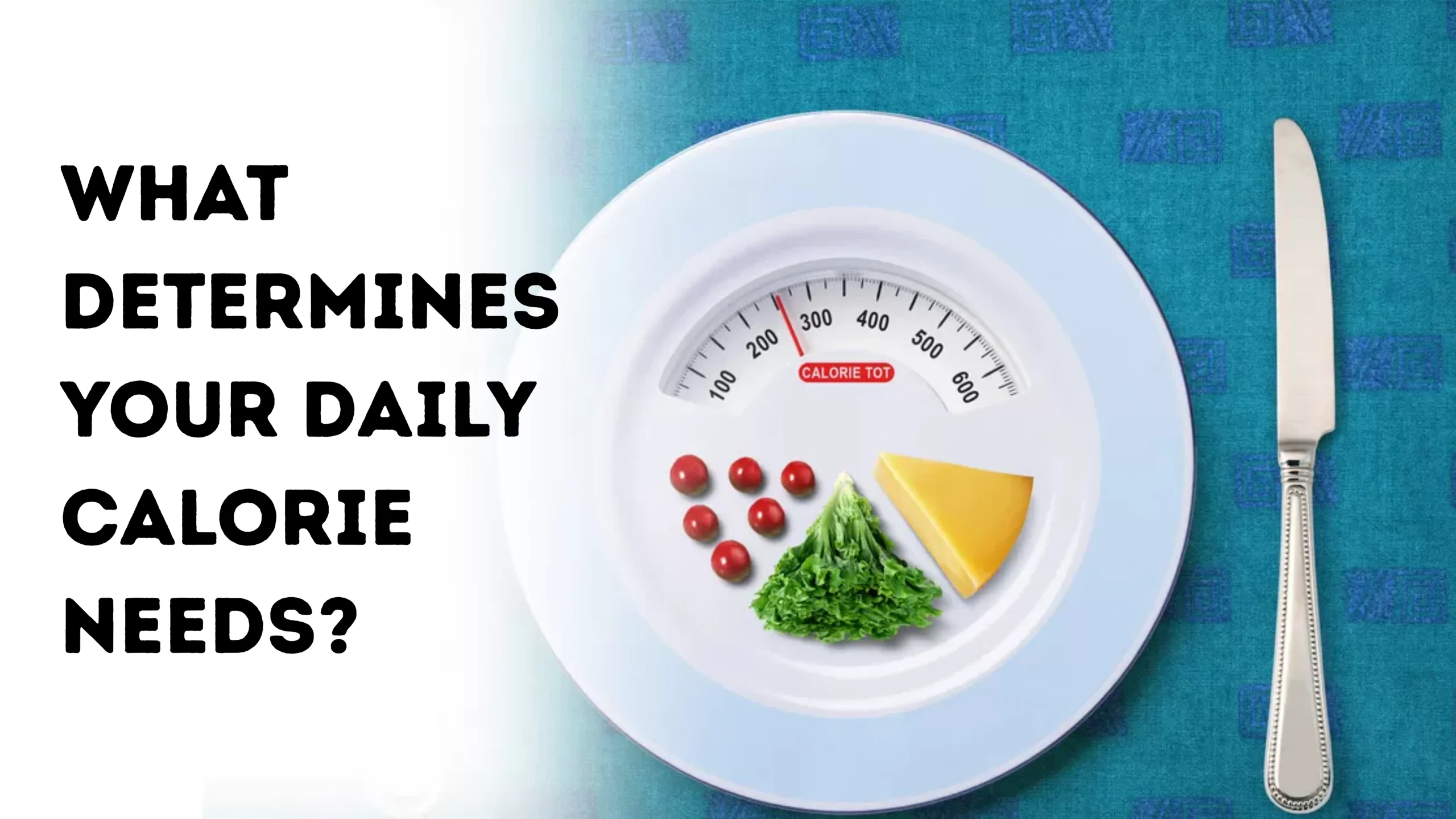 what-determines-your-daily-calorie-needs-scaled