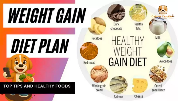 best-foods-plans-for-a-weight-gain-diet