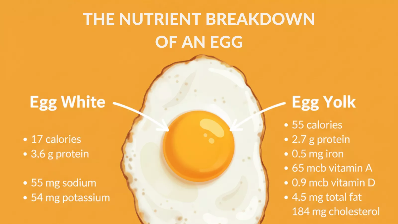 egg-nutrition-beyond-protein