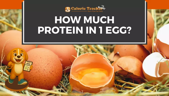 how-much-protein-in-1-egg