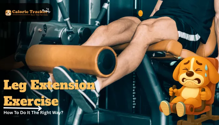how-to-do-a-leg-extension-exercise-the-right-way