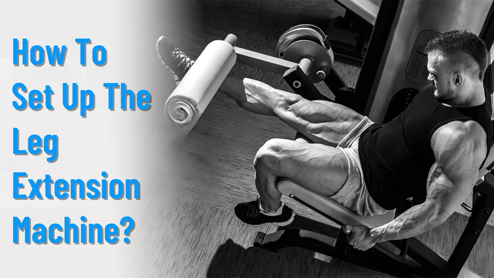 how-to-set-up-the-leg-extension-machine