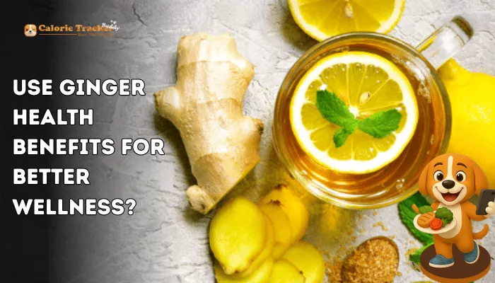 how-to-use-ginger-health-benefits-for-better-wellness