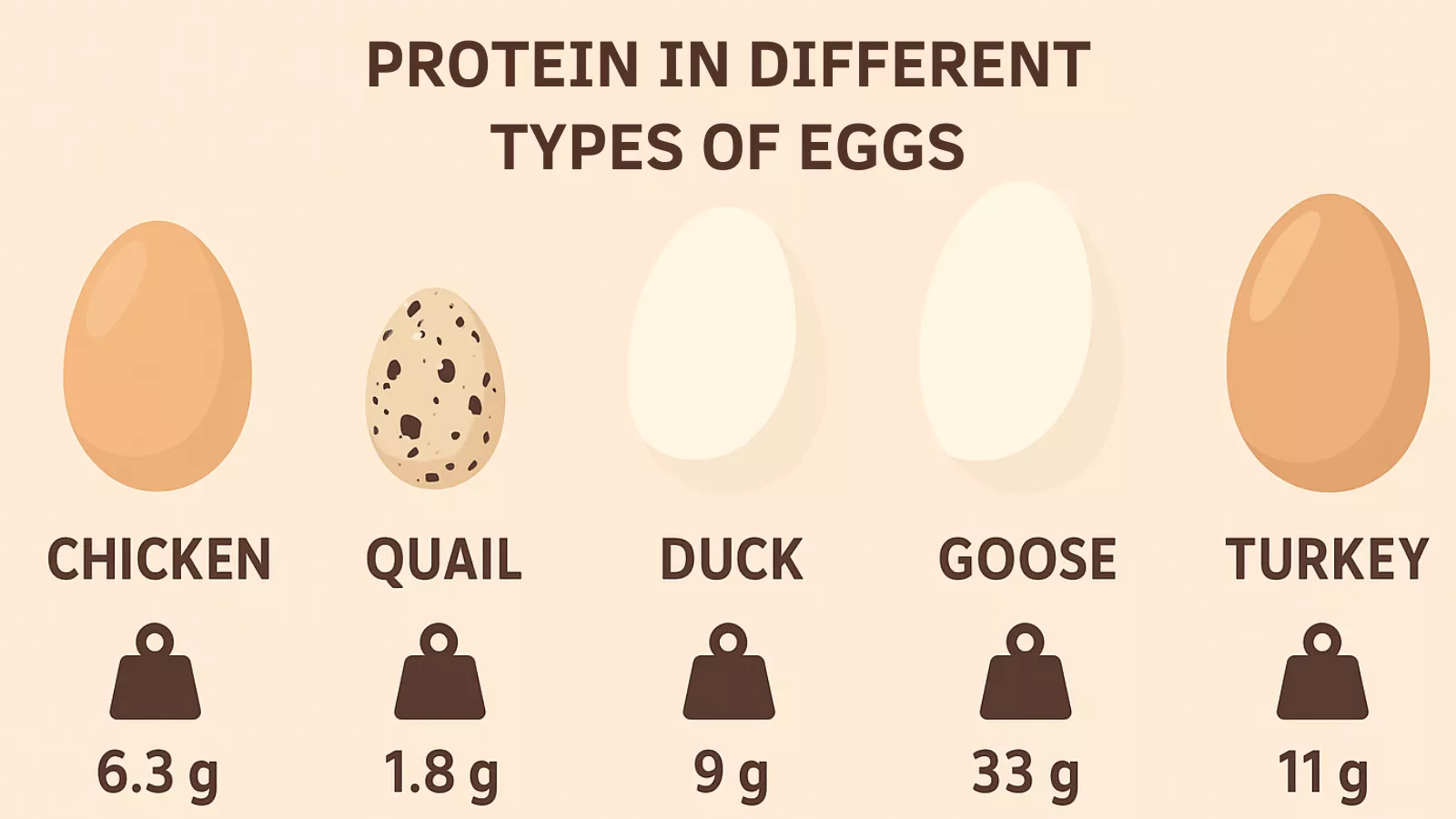protein-in-different-types-of-eggs