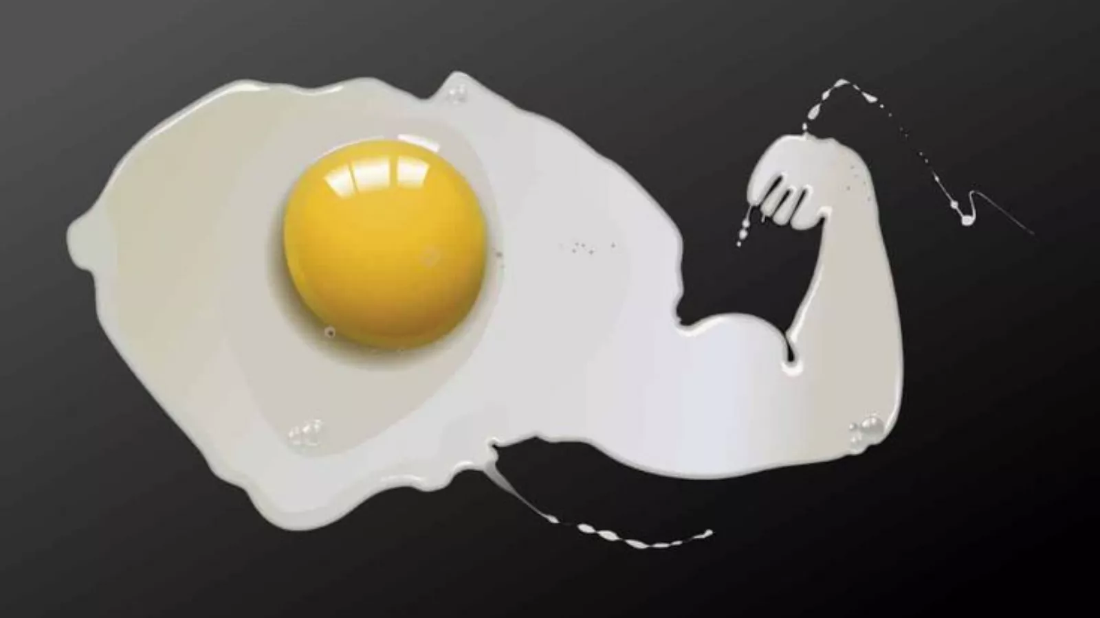 protein-in-one-egg
