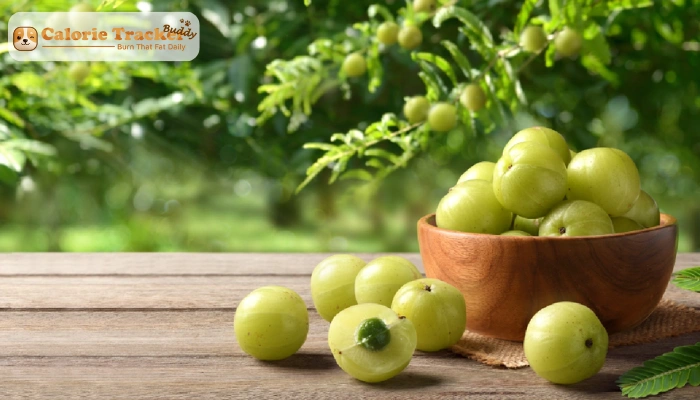 amla-health-benefits-daily-wellness