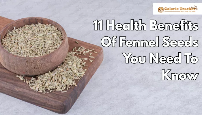 11-health-benefits-of-fennel-seeds-you-need-to-know