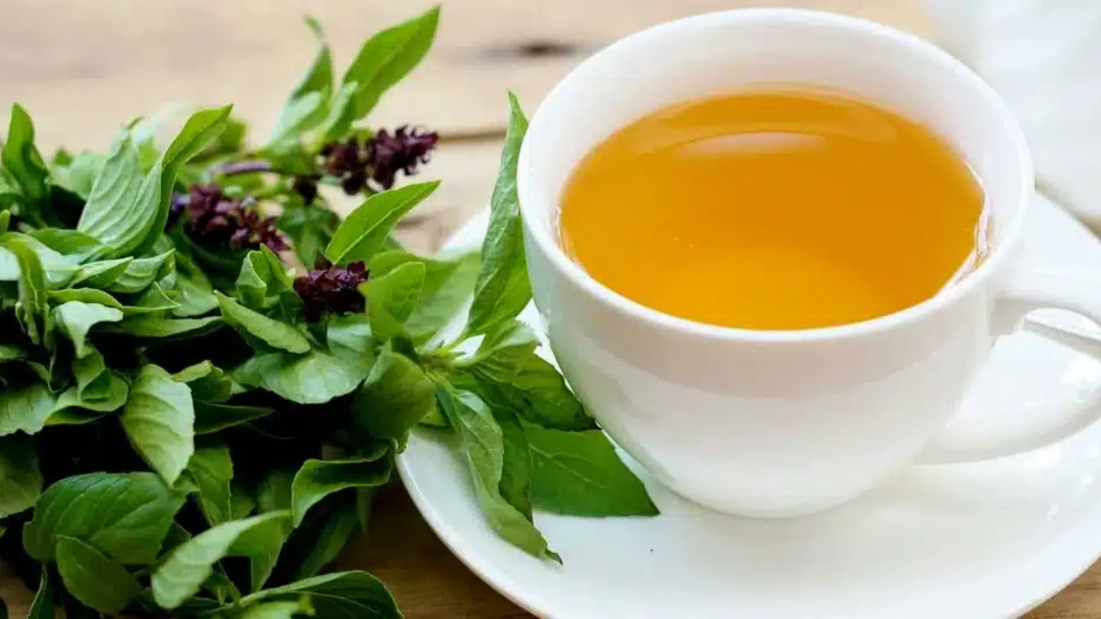 tulsi-tea-benefits