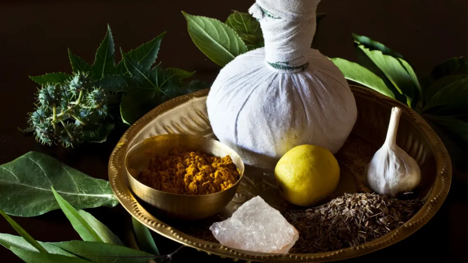 ayurvedic-therapies