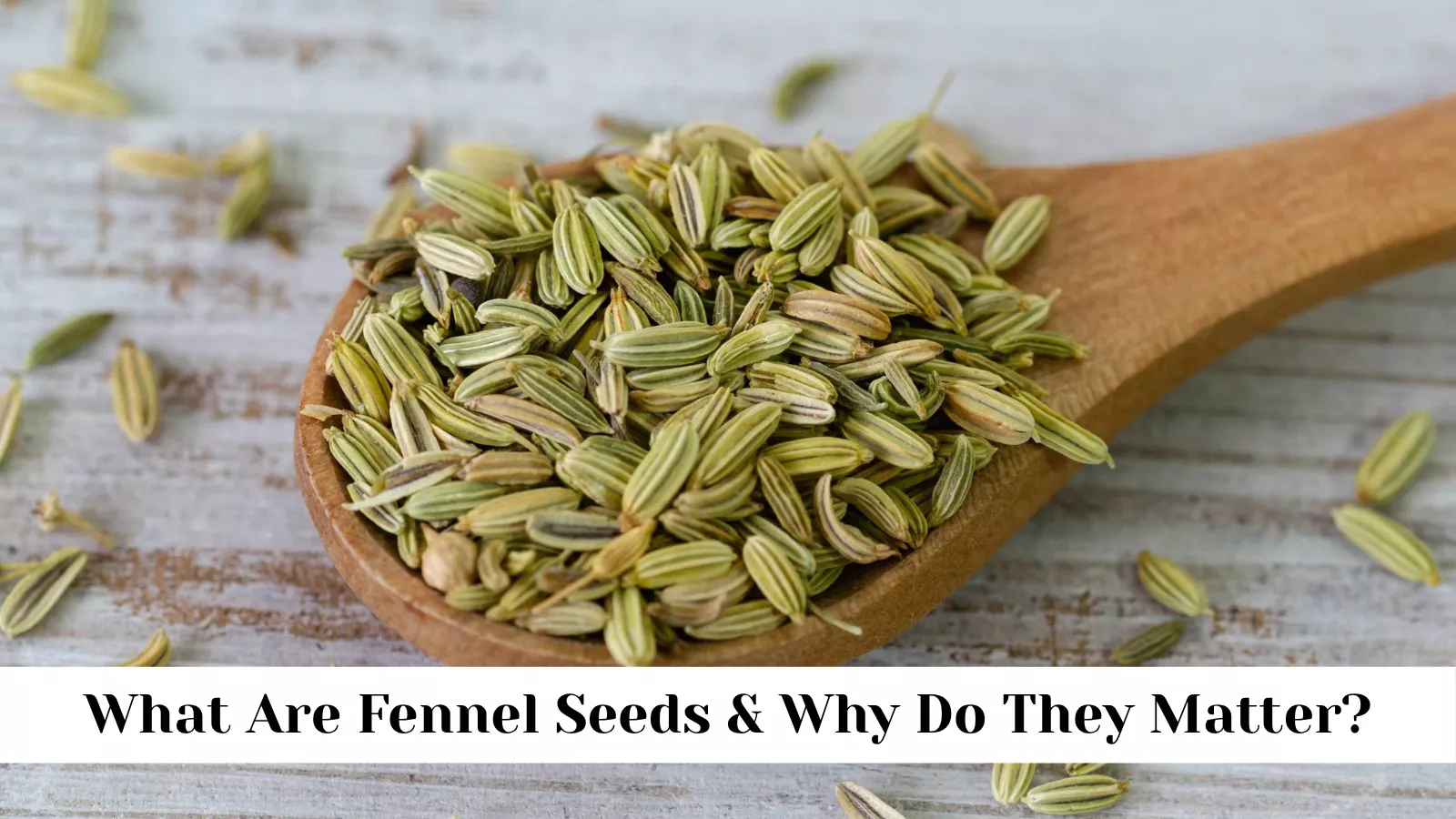 what-are-fennel-seeds-why-do-they-matter