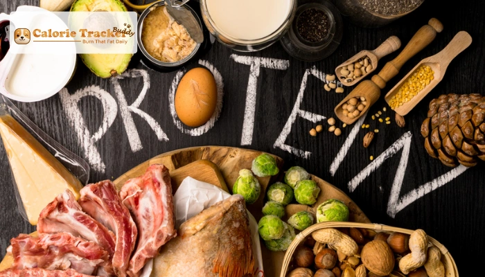 how-to-use-a-protein-tracker