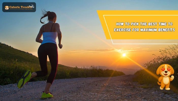 best-time-to-exercise