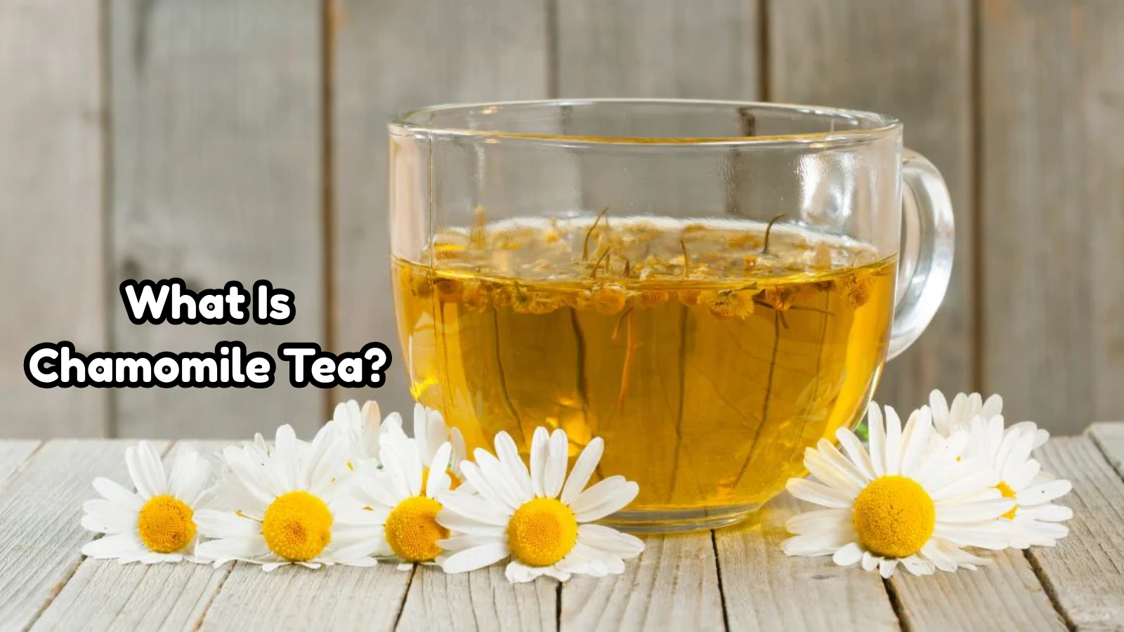 what-is-chamomile-tea