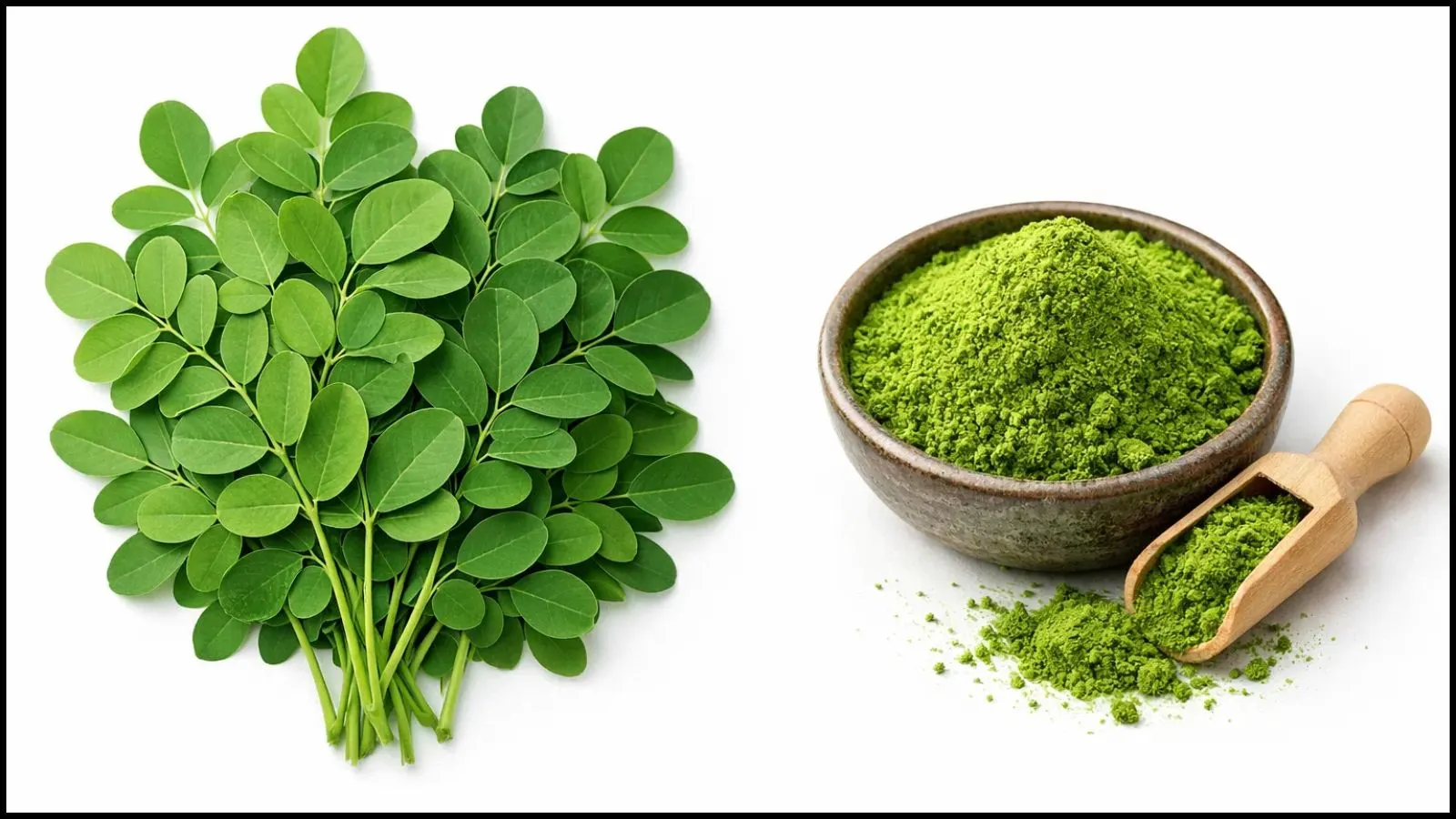 what-is-moringa-leaves