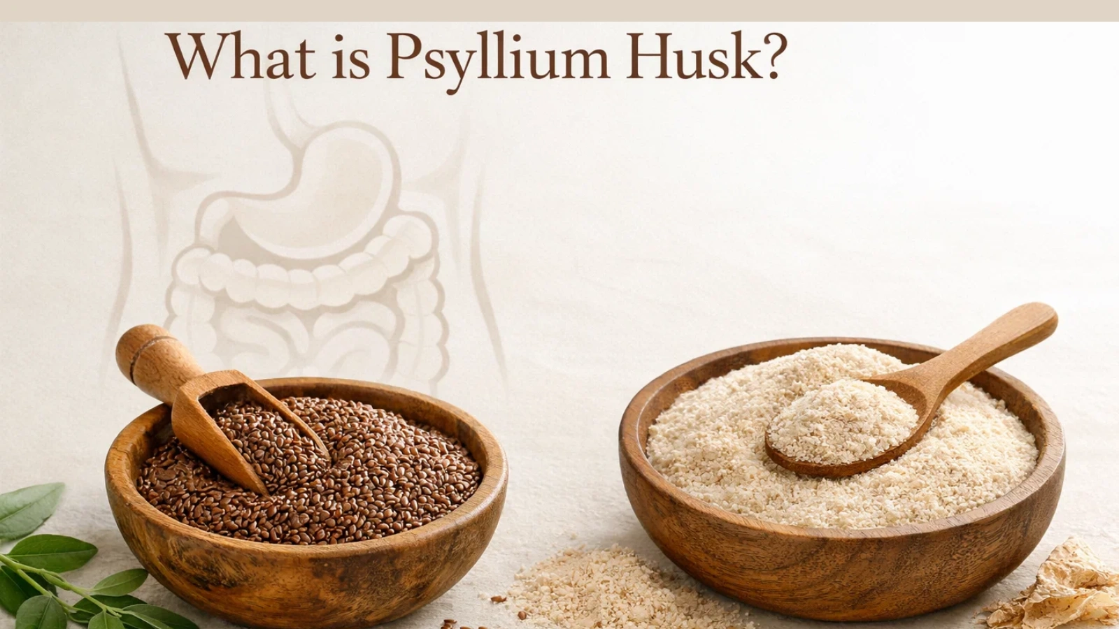 what-is-psyllium-husk