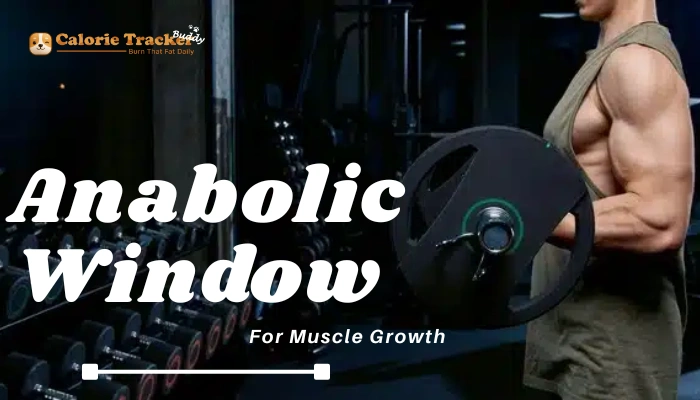 anabolic-window