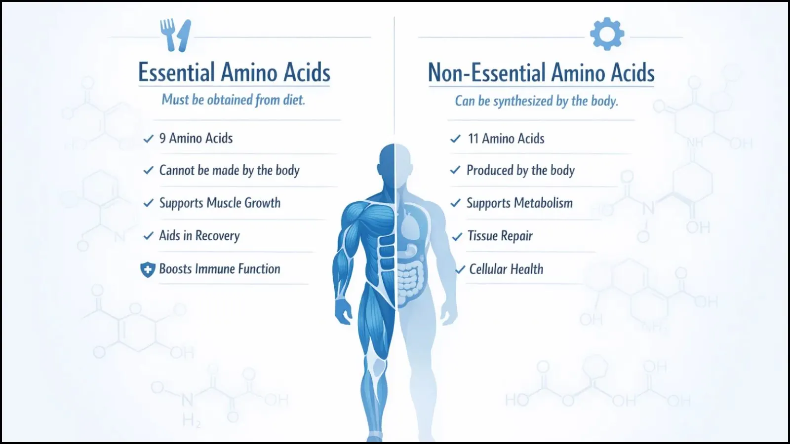 essential-amino-acids-vs-non-essential-amino-acids