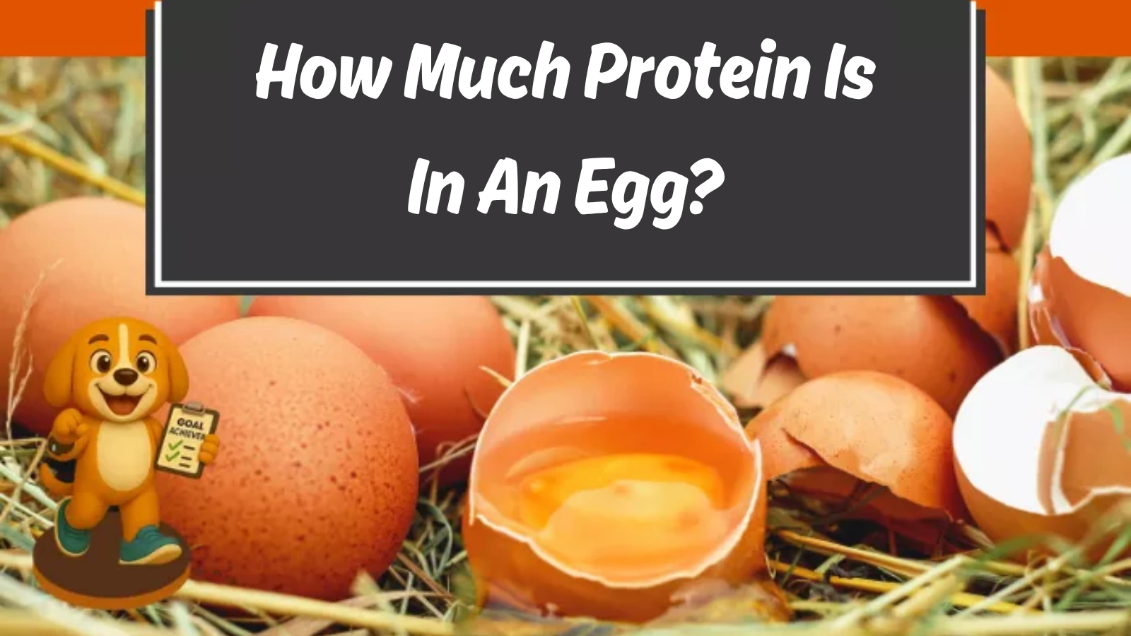 protein-in-an-egg