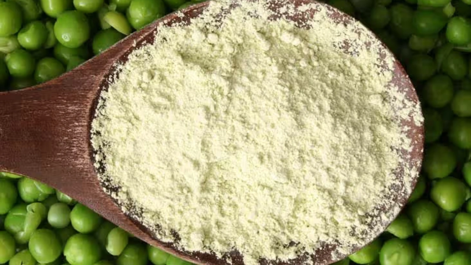 plant-based-protein-powder