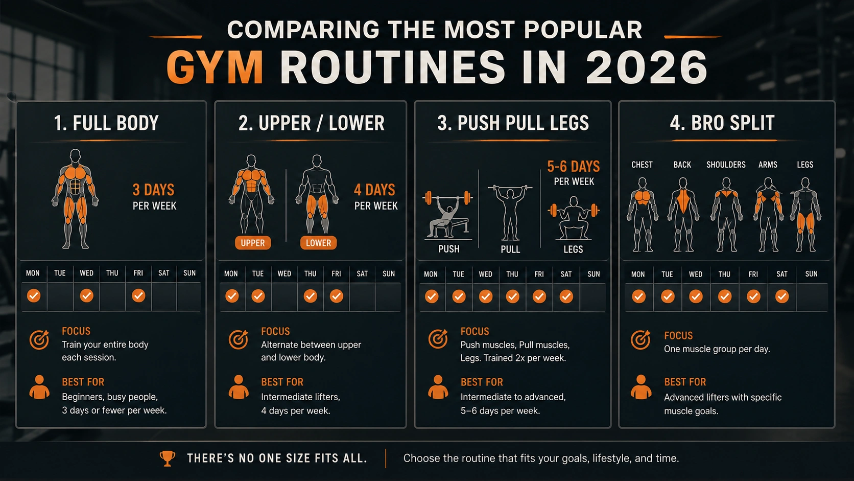 comparing-the-most-popular-gym-routines